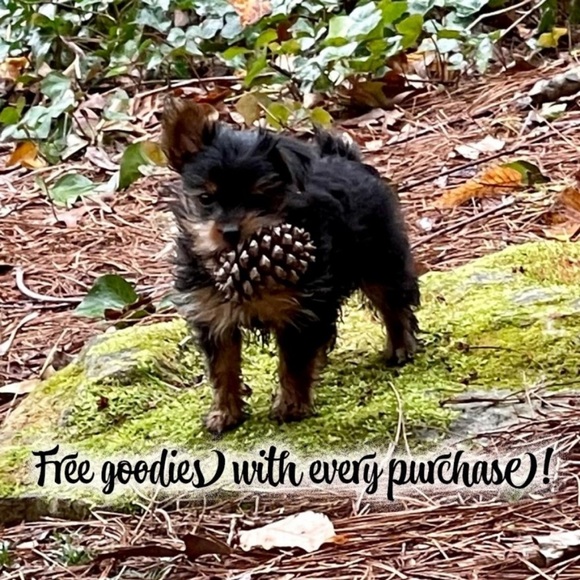 Thank You!🥰💃🏻💜💙💚💛🧡❤💖 - Picture 15 of 16